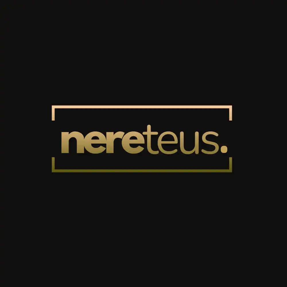 Ilustrație pentru articolul: Agenție SEO & Web Design Pitești | Nereteus Agency